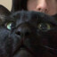 freak's avatar