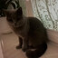 (**Konstantyn**}
