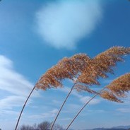 603162535