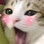 Redd