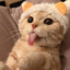 shinko_grmy