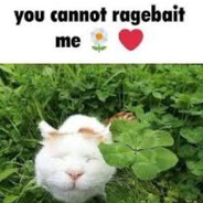 Snowball's avatar