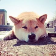 我是新手，看到开小号的人直接滚