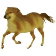 我真的不是一般的马