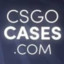 L30 csgocases.com