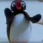 #Noot Noot MotherFu**er