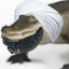 ALLAHGATOR