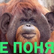 крокодил