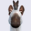 Attention Horse