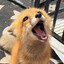 TheMagicalKazoo