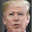 Joe Trump