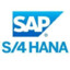 SAP S/4 HANNA EWM™