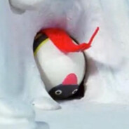 Pingu