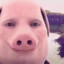 John Pork