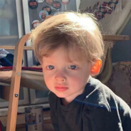 猫•浪漫至死不渝