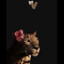 •Vivien•♡ ✿
