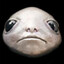VViS's avatar