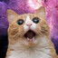 mogus™