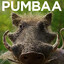Пумба