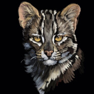 求求你不要伤害我