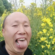 翻斗花园突破手