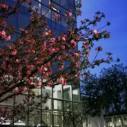 世界尽头厕所首席疏通官