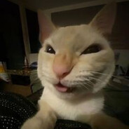 malsemakker avatar