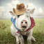 Cowboy Pig
