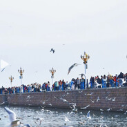 “技不如人.甘拜下风”