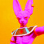 Baked Beerus