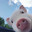 piglet aura