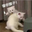 尘寰