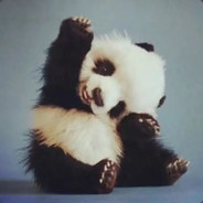 袁某某在友谊路