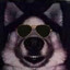 Cool Dog (The Prequel)