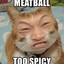 Spicy__Meat