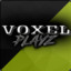 Voxel BETS.gg