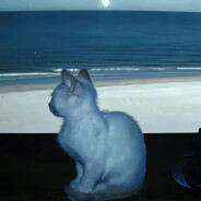 阳春面加蓝旗金枪鱼