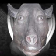 Geryuganshoop
