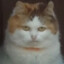 deus ш cat