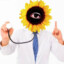 Dr. Sunflower