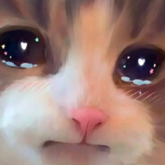 香草巧克力便便