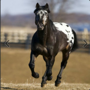 认错要端正         换弹