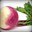 Turnip_Greens