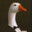 GhostDuck's avatar