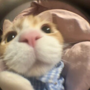 将爱意埋藏在心