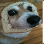 The Bread Doggo