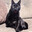 el Gato Logan