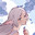 Aster