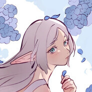 Aster