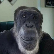 РУБЛЮ С ПЛЕЧА????????